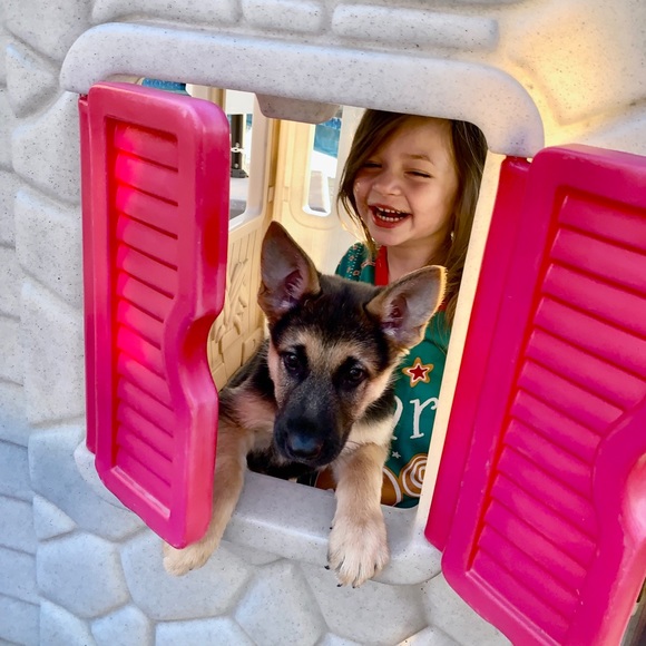 Meet Posher, Felicia! Always Ask if you’re looking for something! - Picture 9 of 17